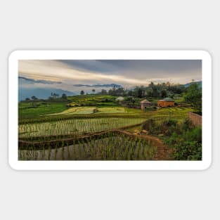 The Rice Terraces of Y Ty Sticker